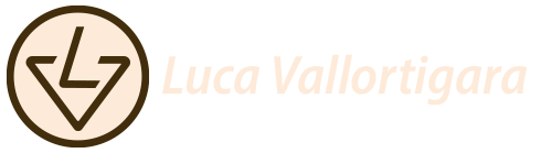 Home - VALLORTIGARA LUCA