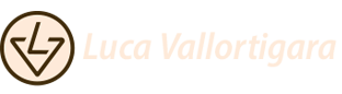 Home - VALLORTIGARA LUCA